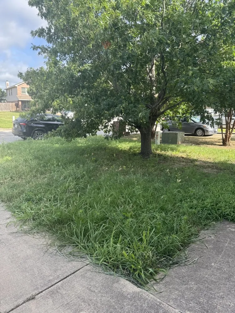 Custom landscaping services in Justin, TX - DJs Mow and Grow