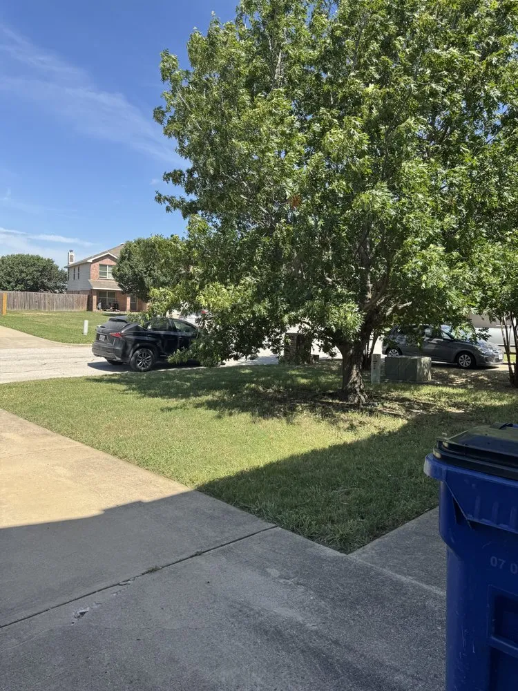 Affordable garden landscaping with custom design in Justin, TX by DJs Mow and Grow