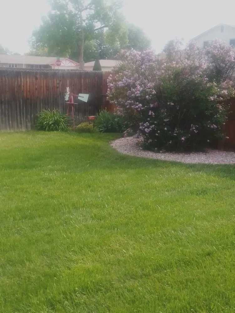 Top-rated yard maintenance in Loveland, CO by D&Js Mowing Service