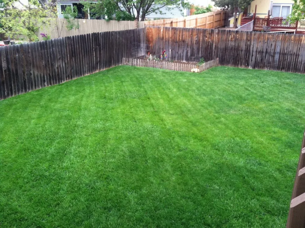 Trusted lawn care service in Loveland, CO - D&Js Mowing Service
