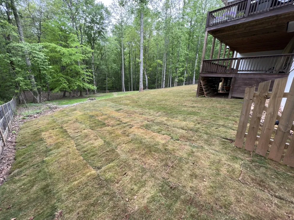 Top-rated landscape installation in Ball Ground, GA - DJs Outdoor Services