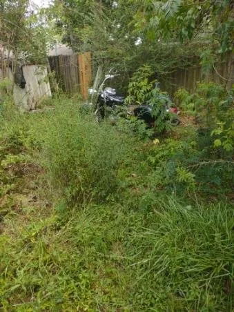 Expert landscape design for year-round maintenance across Slidell, LA - DJ's Professional Lawn Care Service