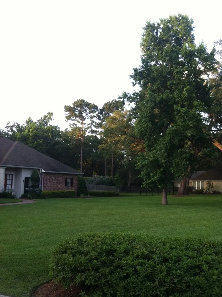 Trusted landscape installation in Slidell, LA by DJ's Professional Lawn Care Service