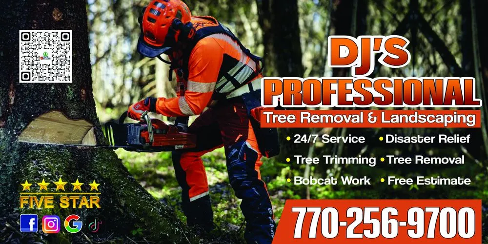 Professional outdoor landscaping experts serving Marietta, GA - Djs Professional Tree Removal And Landscaping