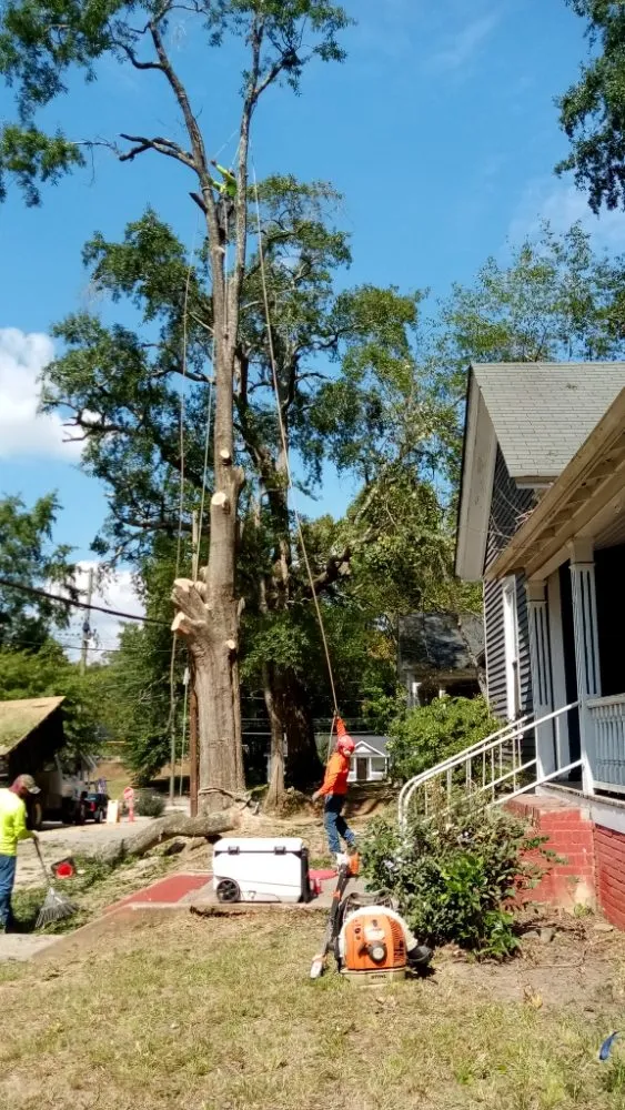 Custom landscape design in Marietta, GA - Djs Professional Tree Removal And Landscaping