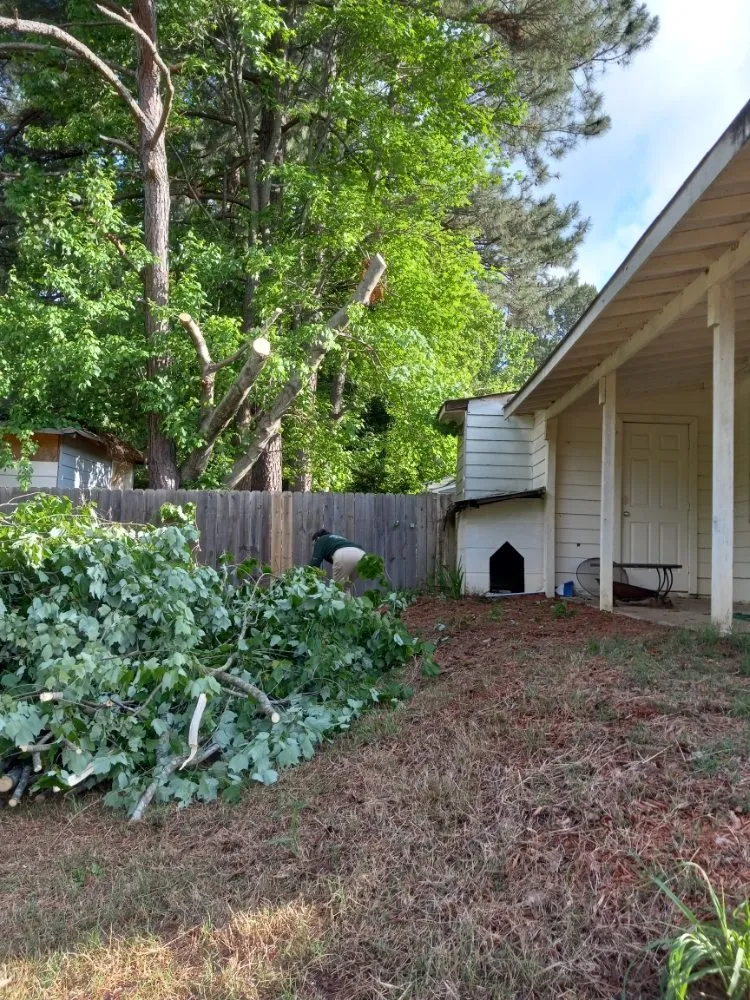 Expert lawn mowing service in Marietta, GA by Djs Professional Tree Removal And Landscaping