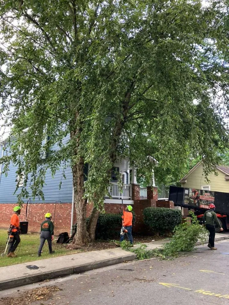 Local landscape design in Marietta, GA - Djs Professional Tree Removal And Landscaping