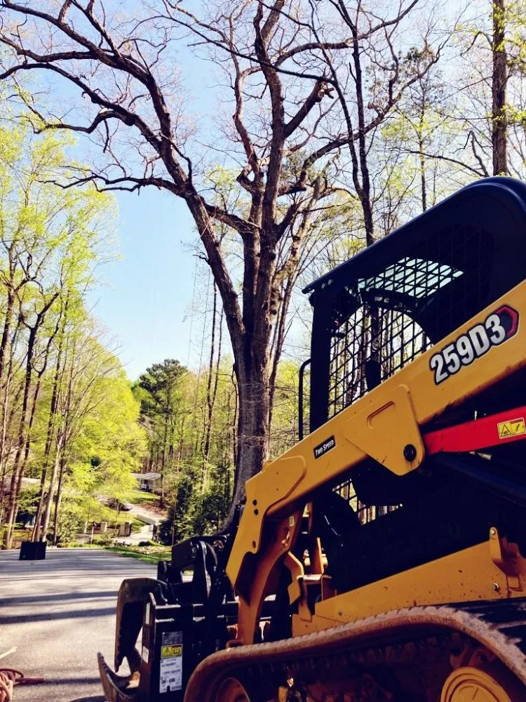 Professional lawn mowing service experts serving Marietta, GA - Djs Professional Tree Removal And Landscaping