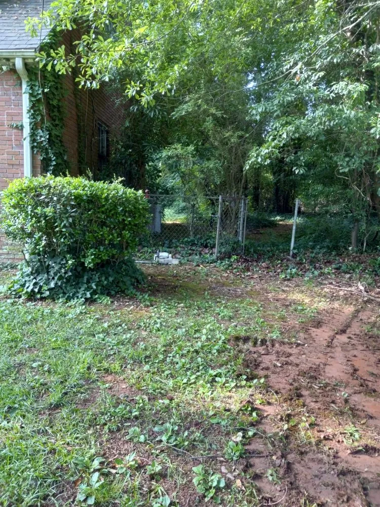 Reliable landscaping services experts serving Marietta, GA - Djs Professional Tree Removal And Landscaping