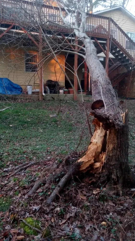 Top-rated landscape design in Marietta, GA - Djs Professional Tree Removal And Landscaping