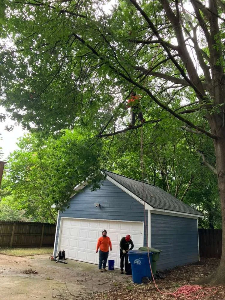 Reliable residential landscaping in Marietta, GA - Djs Professional Tree Removal And Landscaping