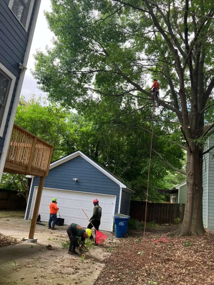 Expert residential landscaping in Marietta, GA by Djs Professional Tree Removal And Landscaping