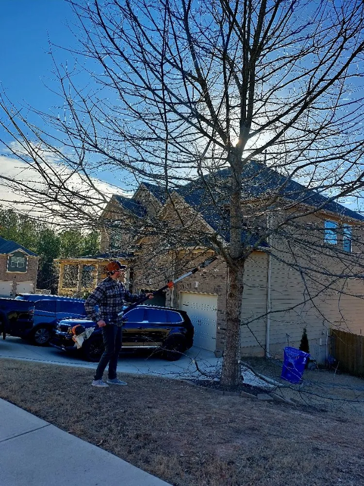 Trusted residential landscaping in Marietta, GA by Djs Professional Tree Removal And Landscaping