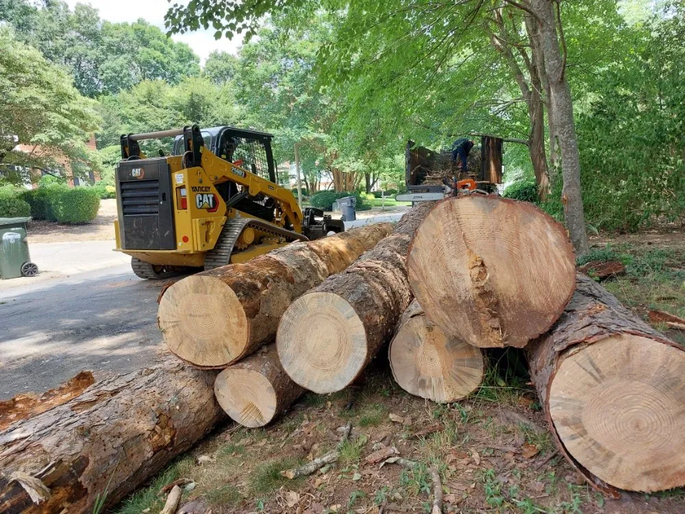Expert landscape installation in Marietta, GA - Djs Professional Tree Removal And Landscaping
