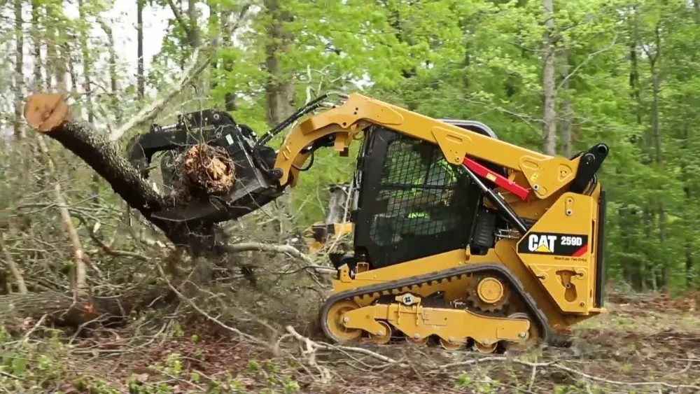Trusted yard cleanup service in Marietta, GA - Djs Professional Tree Removal And Landscaping