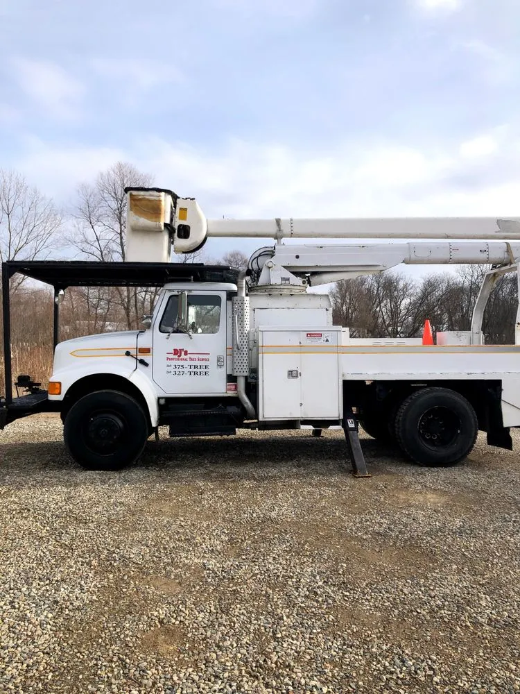 Top-rated landscape installation in Kalamazoo, MI by DJ's Professional Tree Services