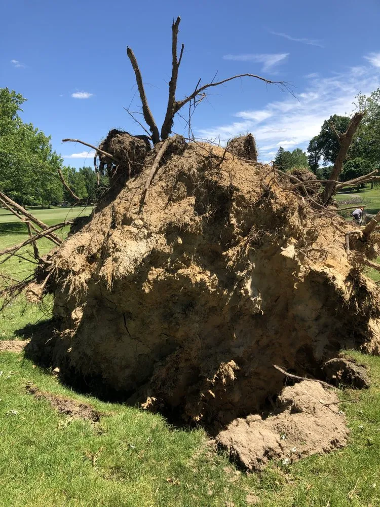 Trusted garden landscaping in Kalamazoo, MI by DJ's Professional Tree Services