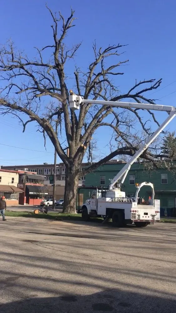 Top-rated lawn mowing service for beautiful yards in Kalamazoo, MI by DJ's Professional Tree Services