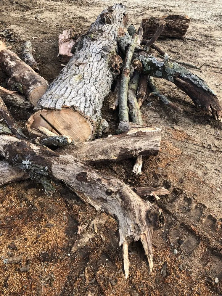 Affordable yard cleanup service for beautiful yards in Kalamazoo, MI by DJ's Professional Tree Services