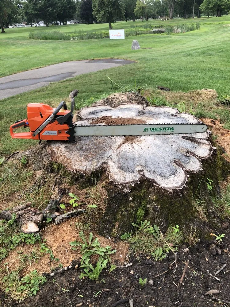 Custom yard cleanup service experts serving Kalamazoo, MI - DJ's Professional Tree Services