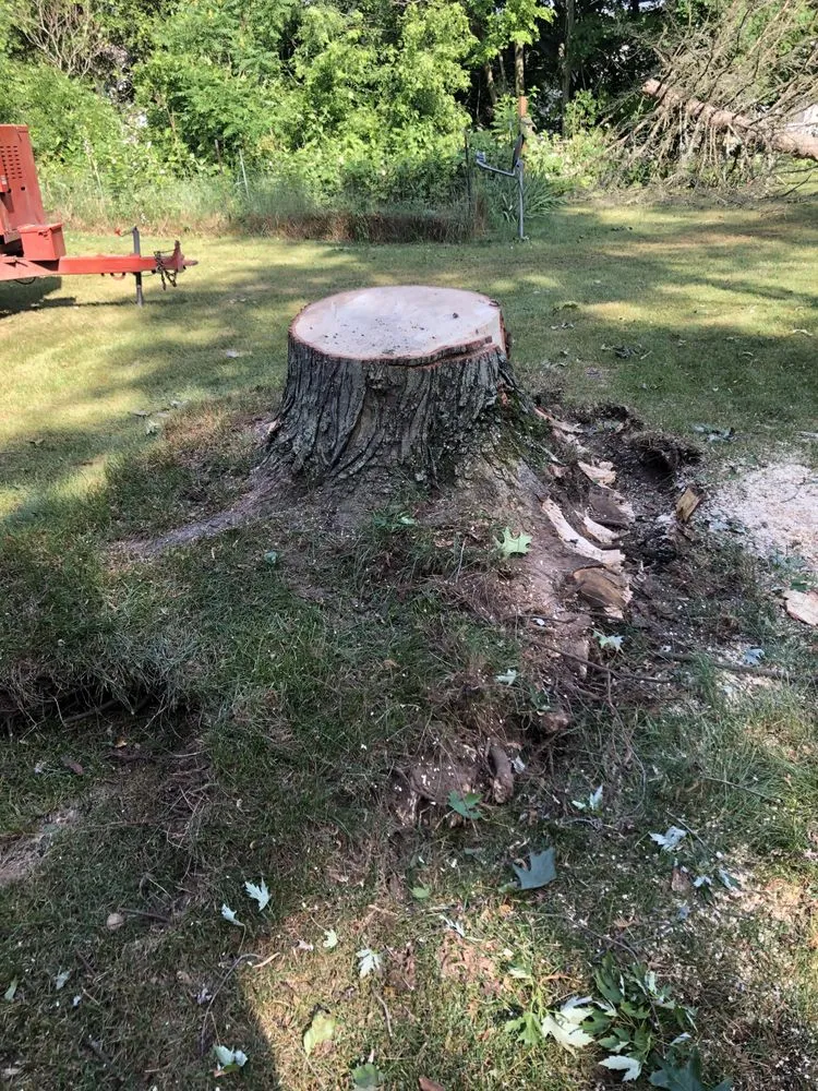 Expert landscaping services for beautiful yards in Kalamazoo, MI by DJ's Professional Tree Services