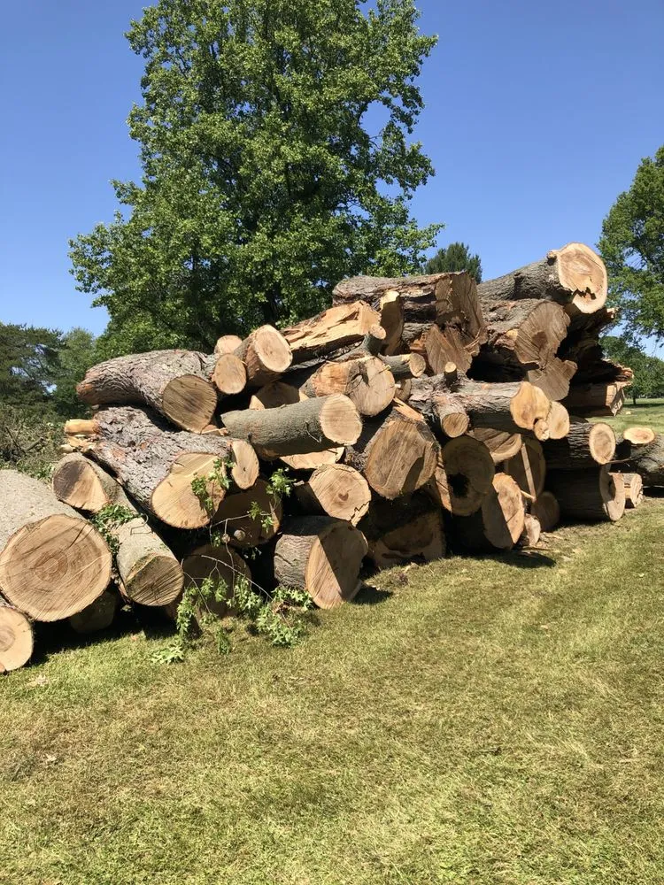 Local garden landscaping for homes across Kalamazoo, MI - DJ's Professional Tree Services