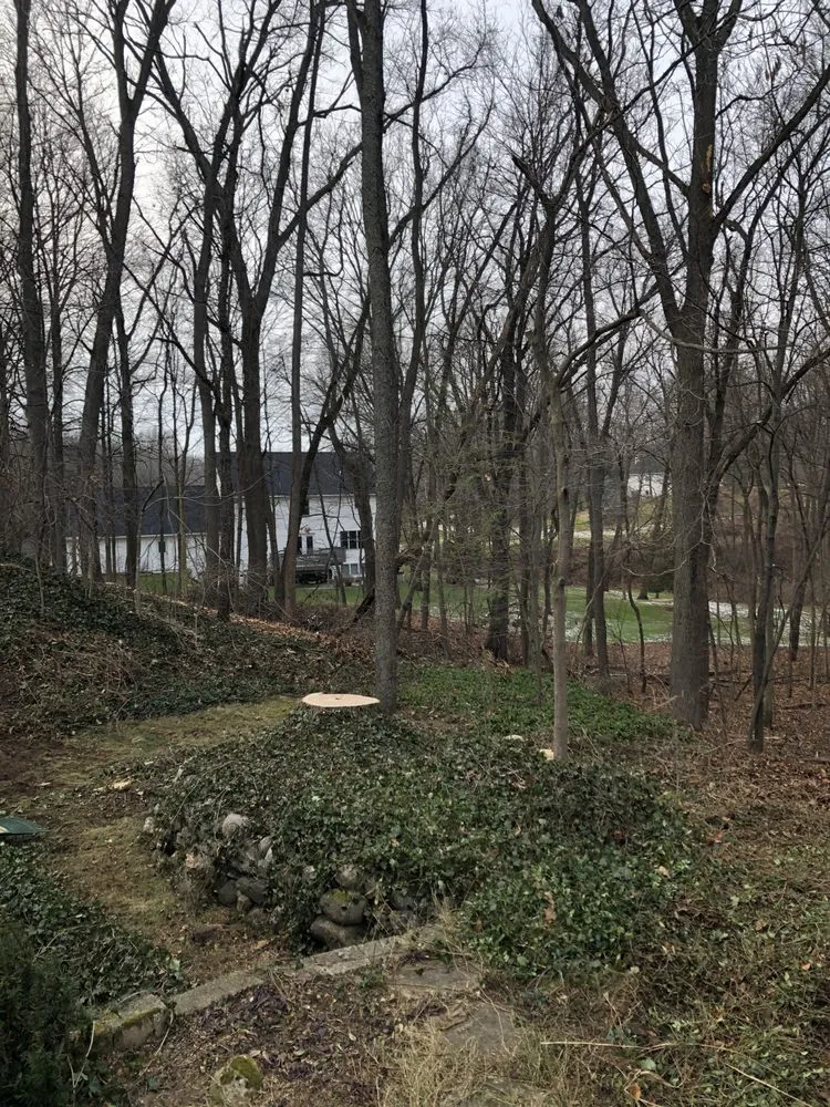 Local landscape installation near you in Kalamazoo, MI by DJ's Professional Tree Services