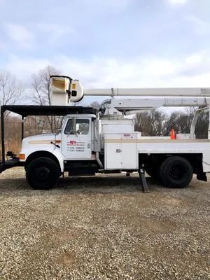 DJ's Professional Tree Services Logo