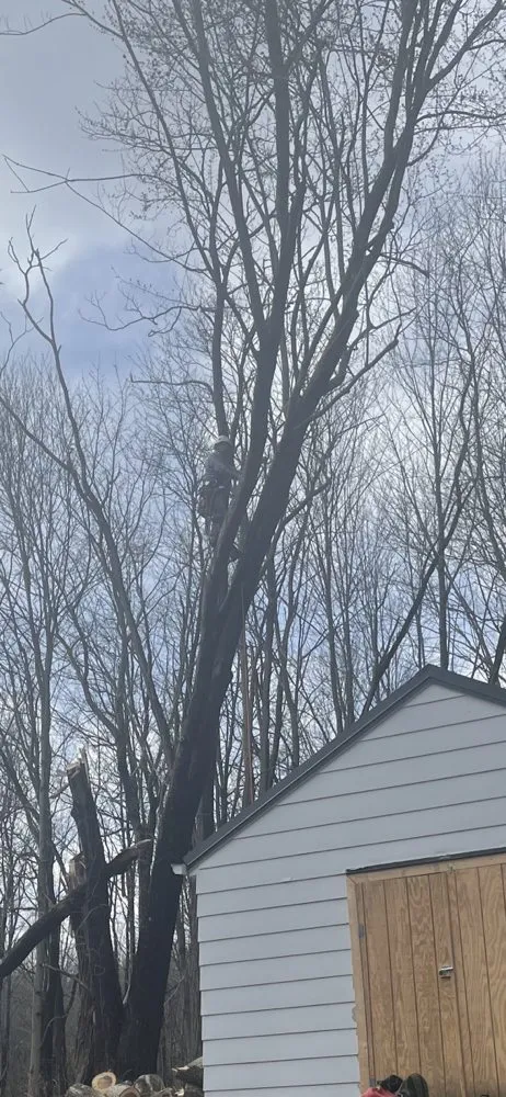 Custom residential landscaping near you across Newbury, OH - DJ’s tree assassins