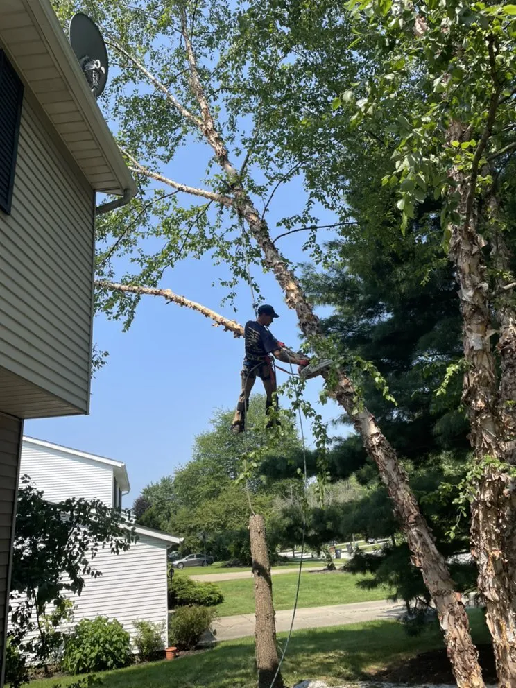 Professional landscape design for homes in Newbury, OH by DJ’s tree assassins