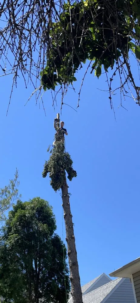 Professional landscape design in Newbury, OH - DJ’s tree assassins