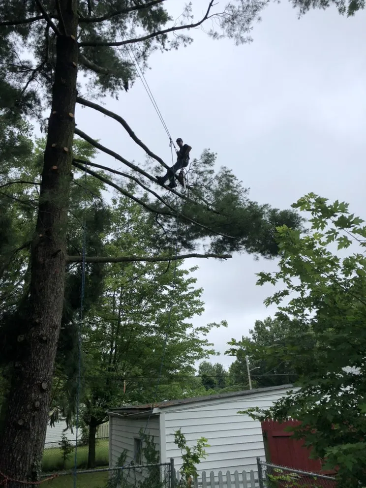 Custom landscape design in Newbury, OH by DJ’s tree assassins