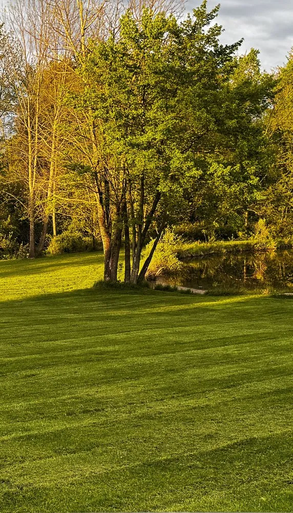 Reliable landscape installation in Newbury, OH - DJ’s tree assassins