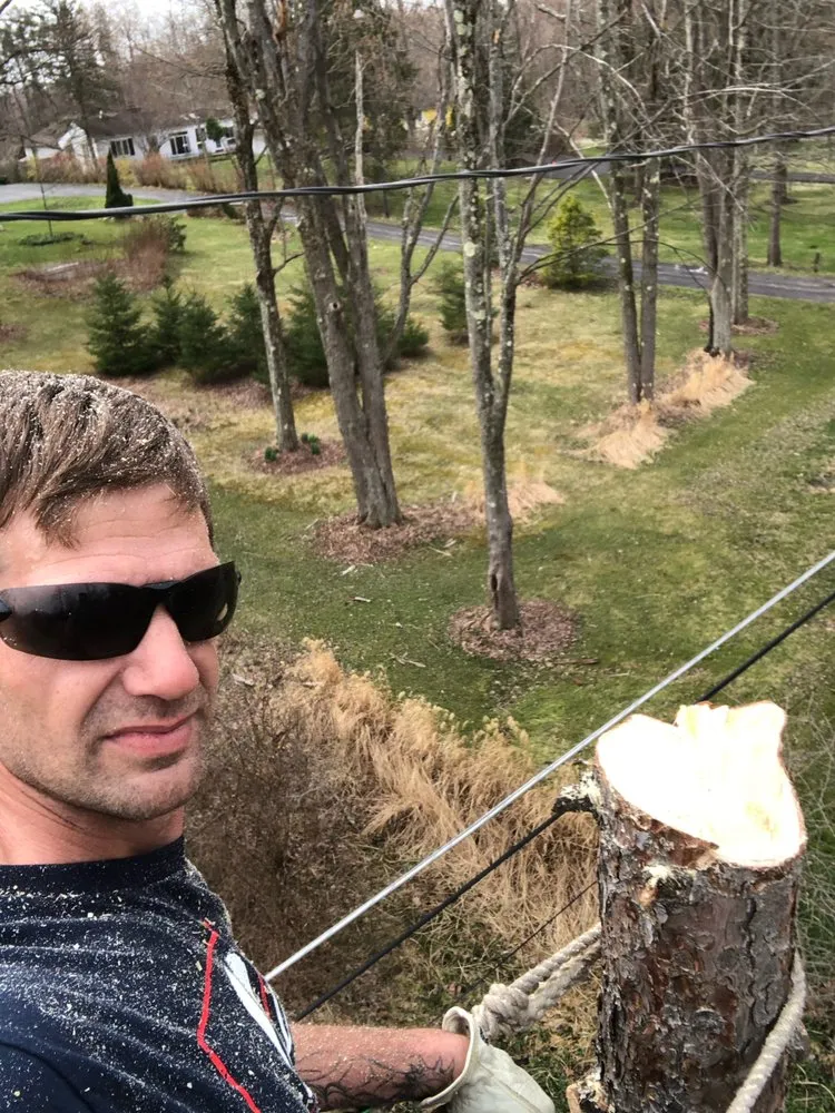 Trusted landscape design in Newbury, OH by DJ’s tree assassins