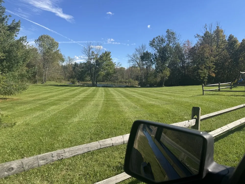 Top-rated yard cleanup service in Newbury, OH - DJ’s tree assassins