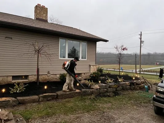 DJ’s tree assassins