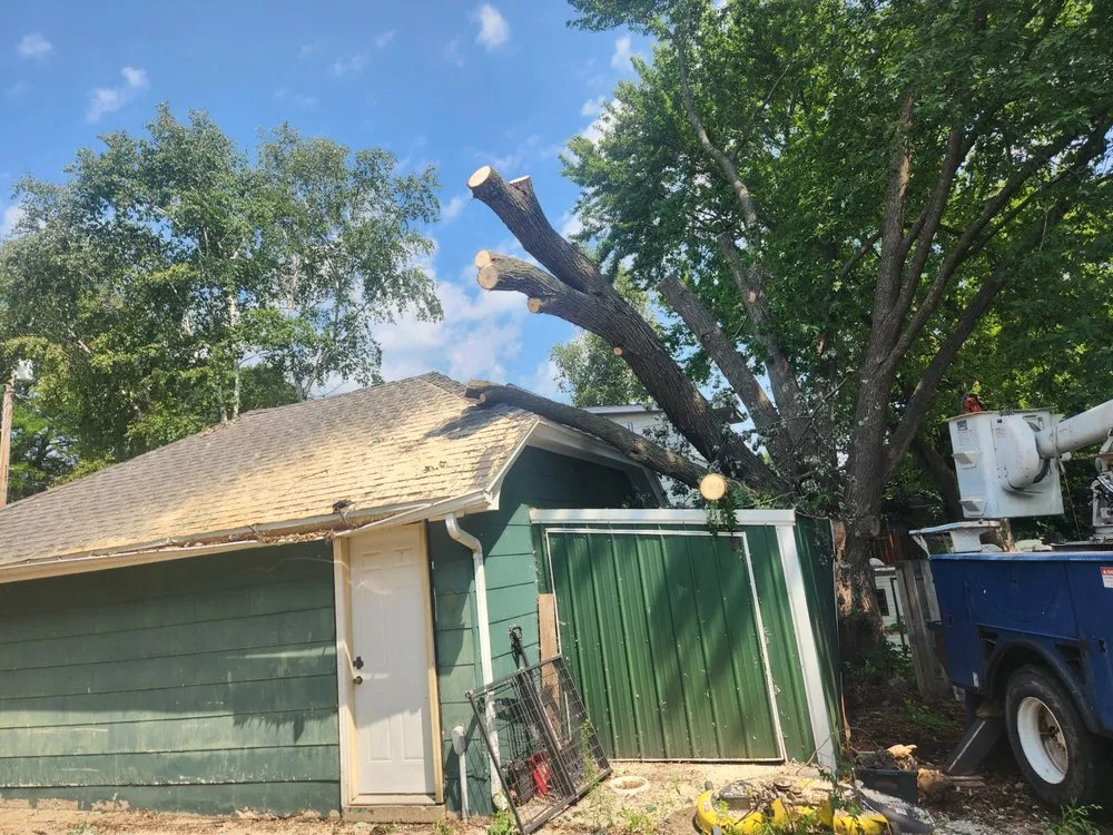 Professional landscaping services in Reeseville, WI by DJT’z Lawn & Landscaping