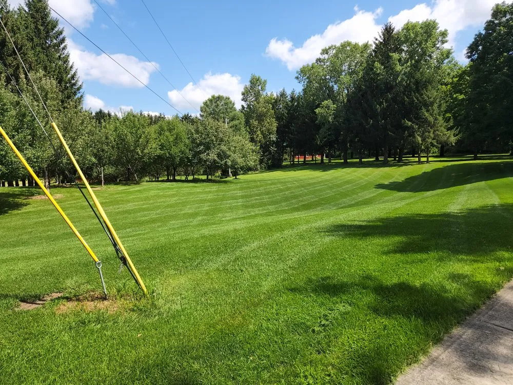Professional yard cleanup service for residential properties across Reeseville, WI - DJT’z Lawn & Landscaping