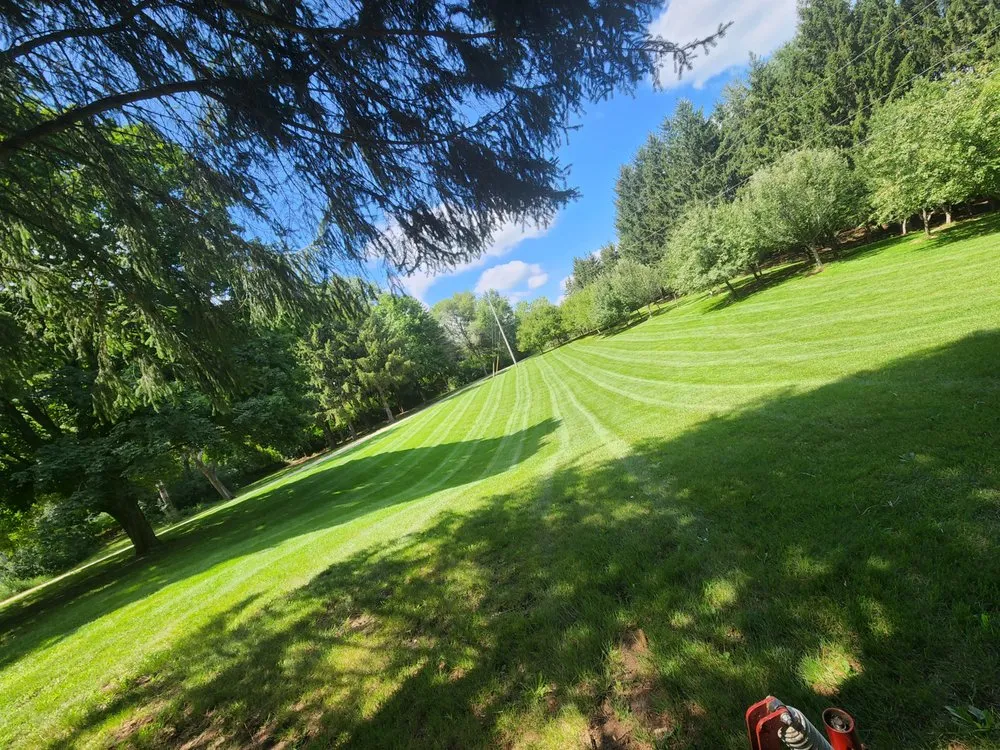 Professional lawn mowing service experts serving Reeseville, WI - DJT’z Lawn & Landscaping