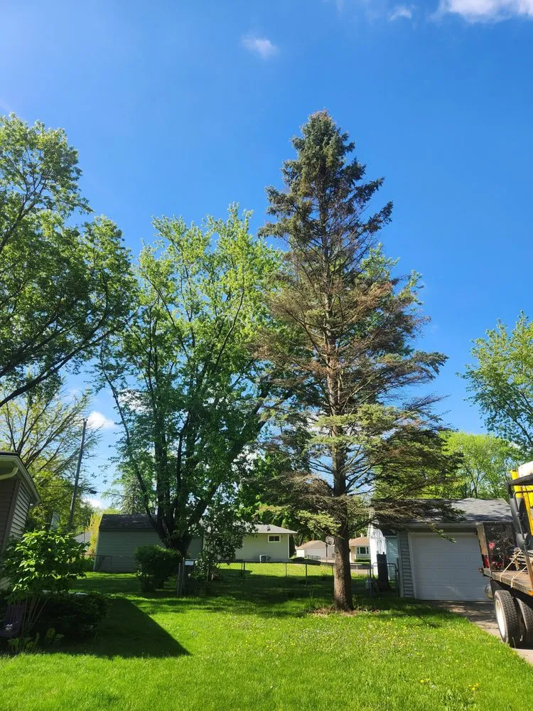 Trusted landscape design experts serving Reeseville, WI - DJT’z Lawn & Landscaping