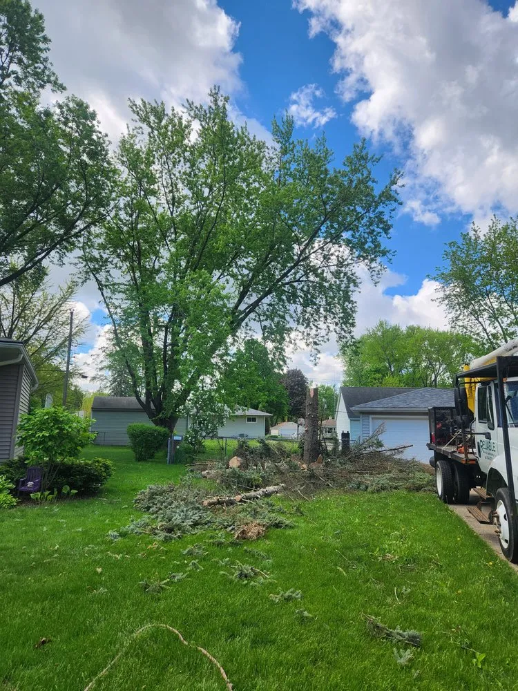 Reliable landscaping services near you in Reeseville, WI by DJT’z Lawn & Landscaping