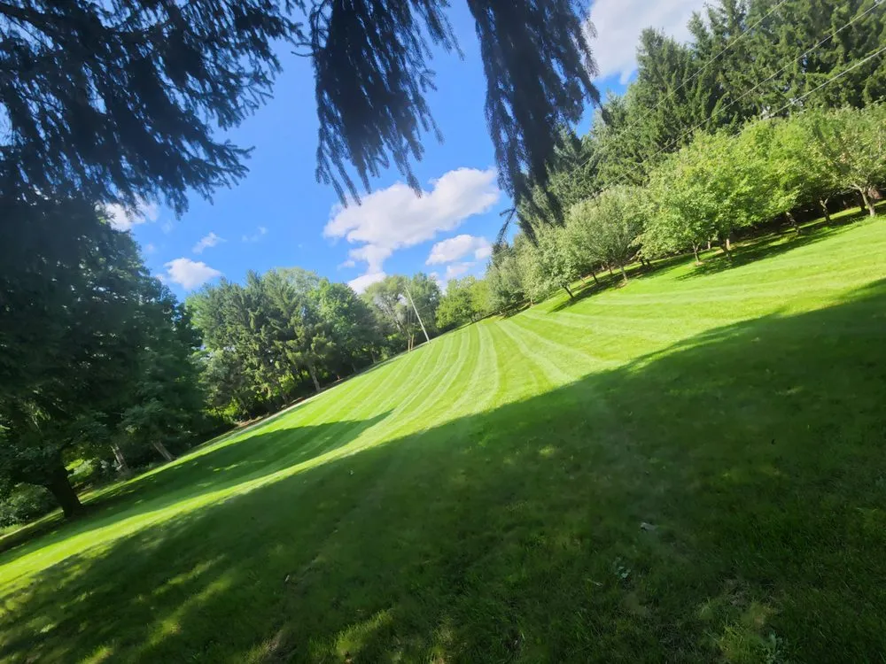 Local yard cleanup service for beautiful yards across Reeseville, WI - DJT’z Lawn & Landscaping