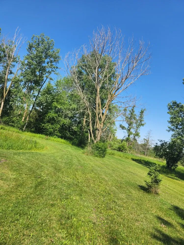Top-rated residential landscaping for year-round maintenance in Reeseville, WI by DJT’z Lawn & Landscaping
