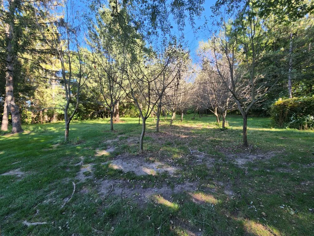 Reliable yard cleanup service in Reeseville, WI by DJT’z Lawn & Landscaping