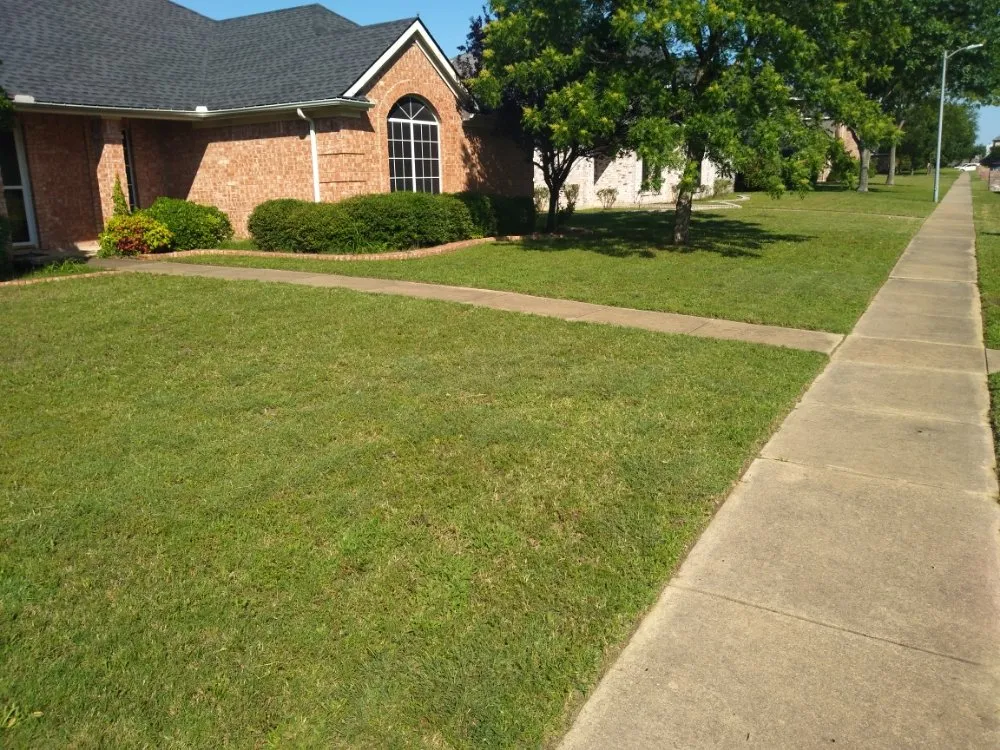 Top-rated garden landscaping experts serving Dallas, TX - DJW lawn Care