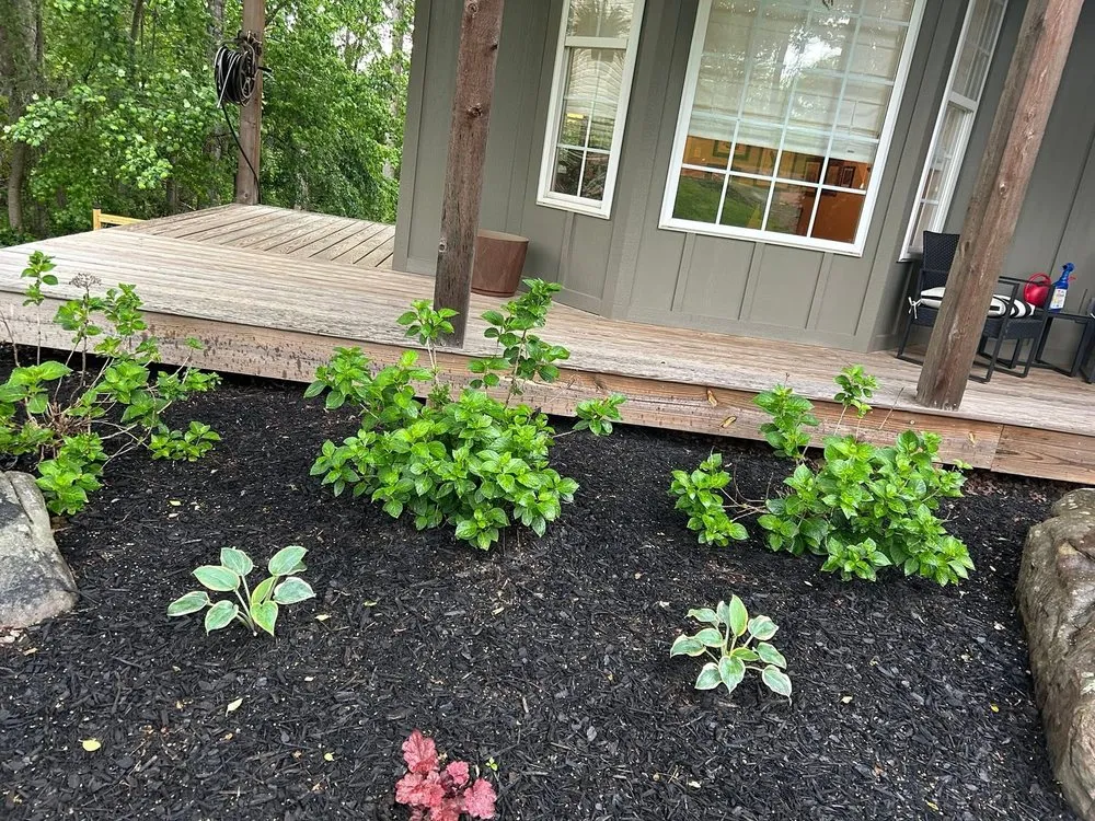 Professional yard maintenance in Radnor, OH - D&k Construction