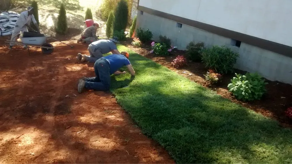 Professional lawn care service in Marion, NC - Dk Hardscapes