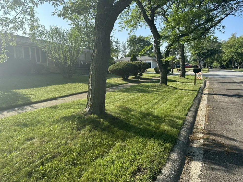 Top-rated yard cleanup service for beautiful yards in Gary, IN by DK Kutz