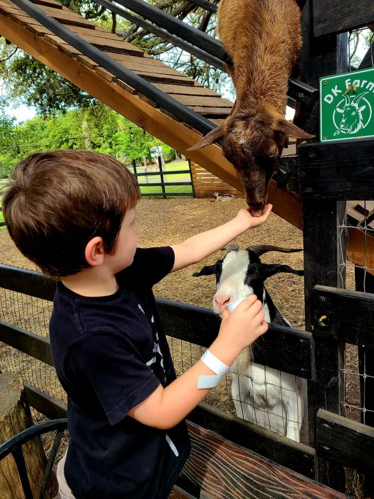 Expert lawn care service in Largo, FL by Dk Landscaping and Nursery