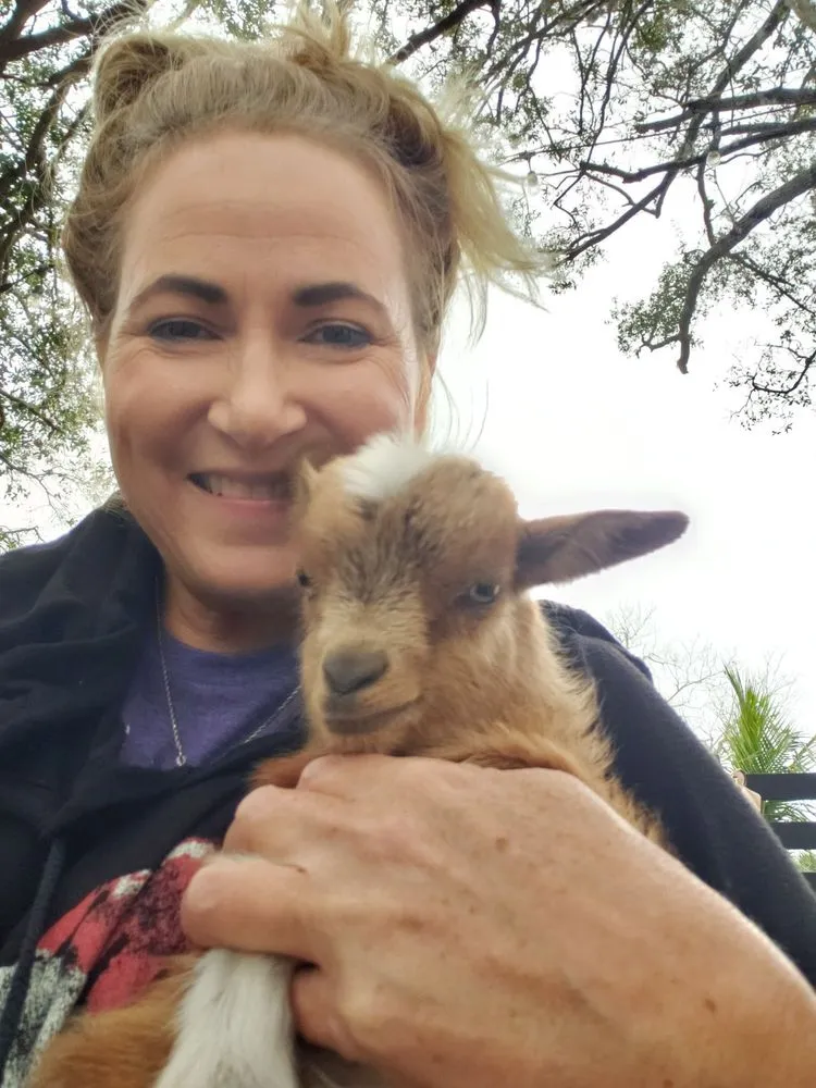 Reliable outdoor landscaping for outdoor upgrades across Largo, FL - Dk Landscaping and Nursery